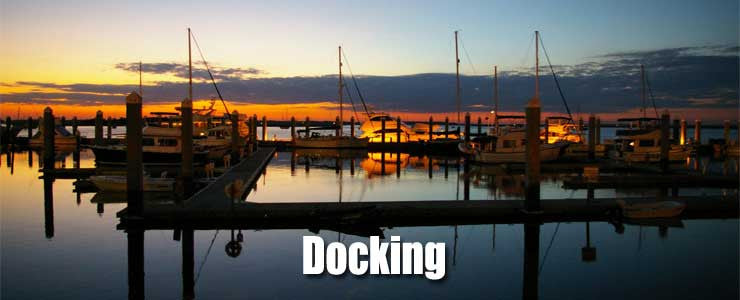 Docking Training DVD